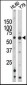 Phospho-RAD9(S328) Antibody