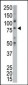 P100 Antibody