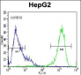 MAPK1 Antibody (C-term)