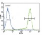 TRKA Antibody (Center)