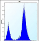 DDIT4 Antibody (C-term)