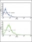 GLUT2 (SLC2A2) Antibody (N-term)