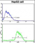 CDH4 Antibody (N-term)