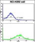 K Cadherin (CDH6) Antibody (C-term)