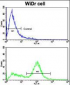 Latexin Antibody (Center)