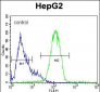 NANOG Antibody (N-term)