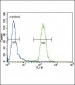 CD4 Antibody (N-term)