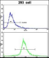 CDH2 Antibody (C-term)