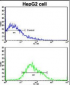 CD44 Antibody (N-term)