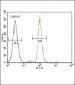 CD14 Antibody (N-term)