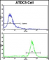 Prohibitin (PHB1) Antibody (N-term)