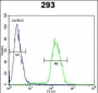 MYC Antibody (S62)