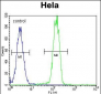 PARP1 Antibody (N-term)