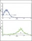 OPRS1 Antibody (N-term)