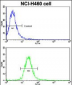 EphB2 Antibody