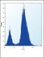 ALPL Antibody (Center)