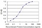 AATF Antibody (monoclonal) (M09)