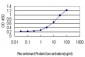 ABCF2 Antibody (monoclonal) (M01)