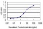 ABCG1 Antibody (monoclonal) (M01)