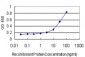 ABHD5 Antibody (monoclonal) (M01)