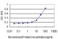 ABHD5 Antibody (monoclonal) (M01)