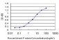 ABL2 Antibody (monoclonal) (M09)