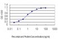 ACAA2 Antibody (monoclonal) (M01)