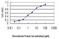 ACE Antibody (monoclonal) (M01)