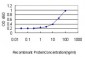 ACTR2 Antibody (monoclonal) (M01)