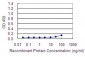 ACTR3 Antibody (monoclonal) (M02)
