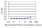 ACTR3 Antibody (monoclonal) (M02)