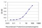 ADAM9 Antibody (monoclonal) (M01)