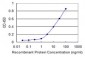 ADAMTS17 Antibody (monoclonal) (M01)