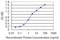 ADCYAP1R1 Antibody (monoclonal) (M01)