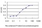 ADD1 Antibody (monoclonal) (M01)