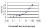 ADRA1A Antibody (monoclonal) (M01)