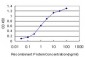 AFF4 Antibody (monoclonal) (M01)