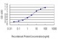 AFP Antibody (monoclonal) (M01)