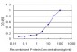 AHR Antibody (monoclonal) (M03)