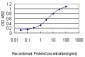 AK1 Antibody (monoclonal) (M08)