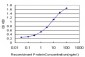 AKAP4 Antibody (monoclonal) (M02)