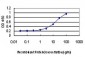 AKAP8 Antibody (monoclonal) (M01)