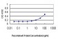 AKT1 Antibody (monoclonal) (M03)