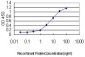 AKT2 Antibody (monoclonal) (M01)