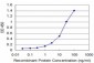 AKT2 Antibody (monoclonal) (M05)