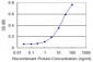 ALDH18A1 Antibody (monoclonal) (M01)