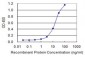 ALDH1L1 Antibody (monoclonal) (M01)