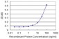 ALDH4A1 Antibody (monoclonal) (M01)