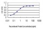 ALS2 Antibody (monoclonal) (M01)