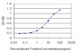 AMBP Antibody (monoclonal) (M01)